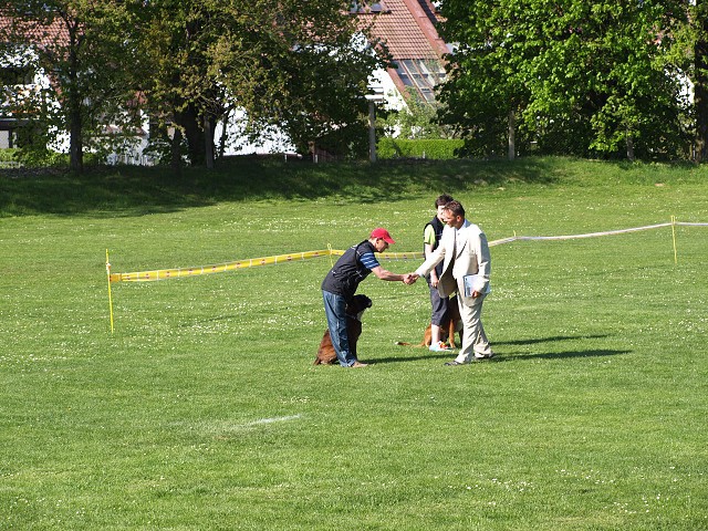 www.atibox.net * www.euroboxer.eu * www.boxergenealogia.eu